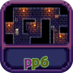 pp6